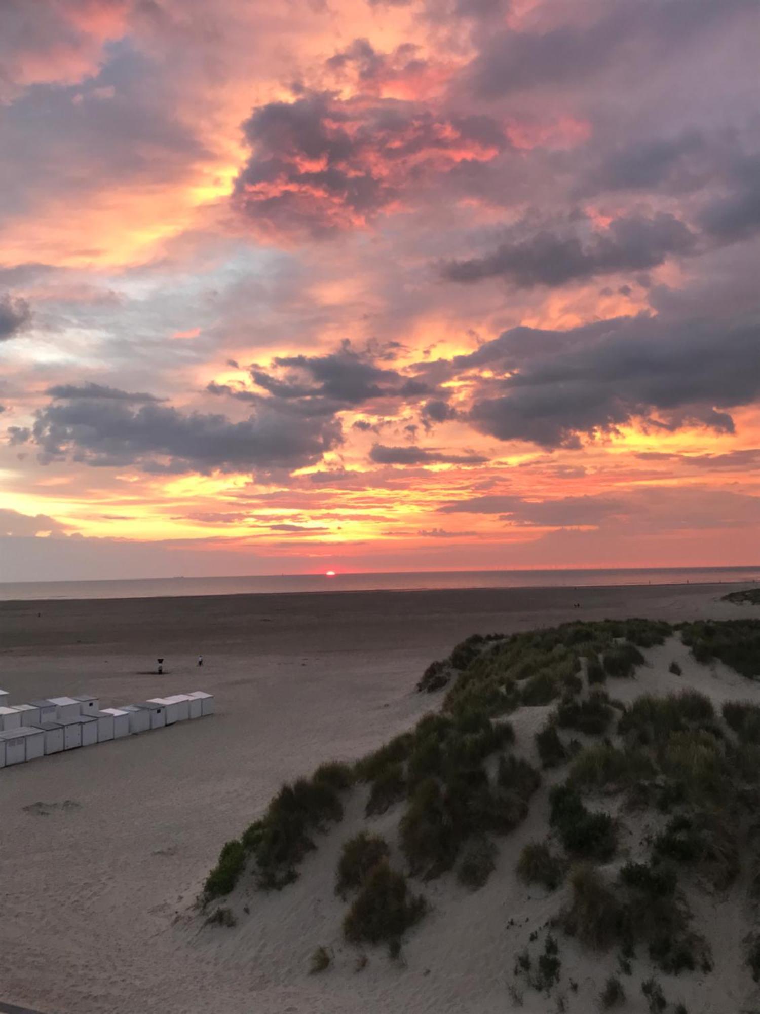Dune Du Palace Brugge Ngoại thất bức ảnh